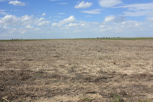 Property photo 86 - LAND AUCTION, 3255+/- Acres offered in 13 Tracts